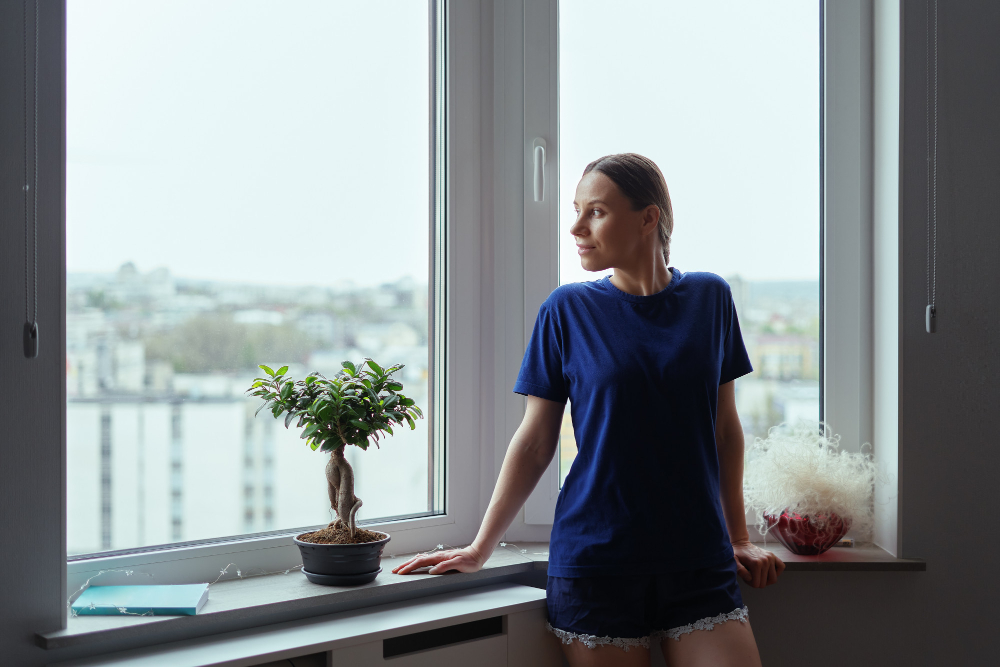 Virginia Beach Window Styles